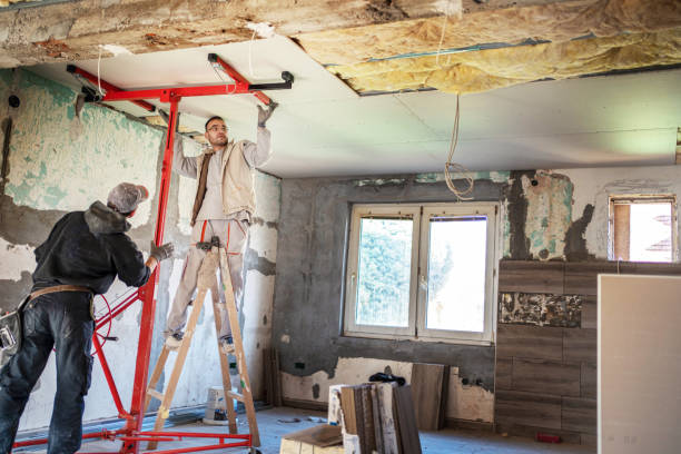 Best Specialized Insulation Services in Woodmoor, CO