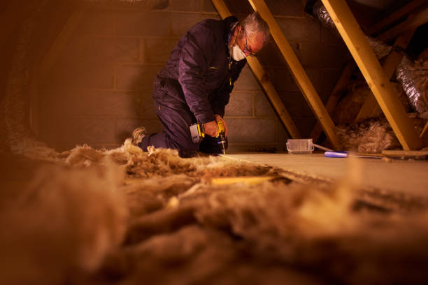 Best Commercial Insulation in Woodmoor, CO